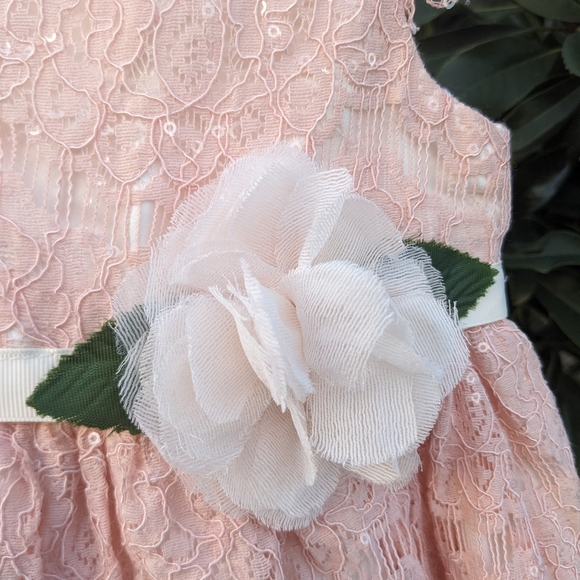 Rare Editions Cap Sleeve Pink Lace Dress Size 24 mos - Picture 8 of 10
